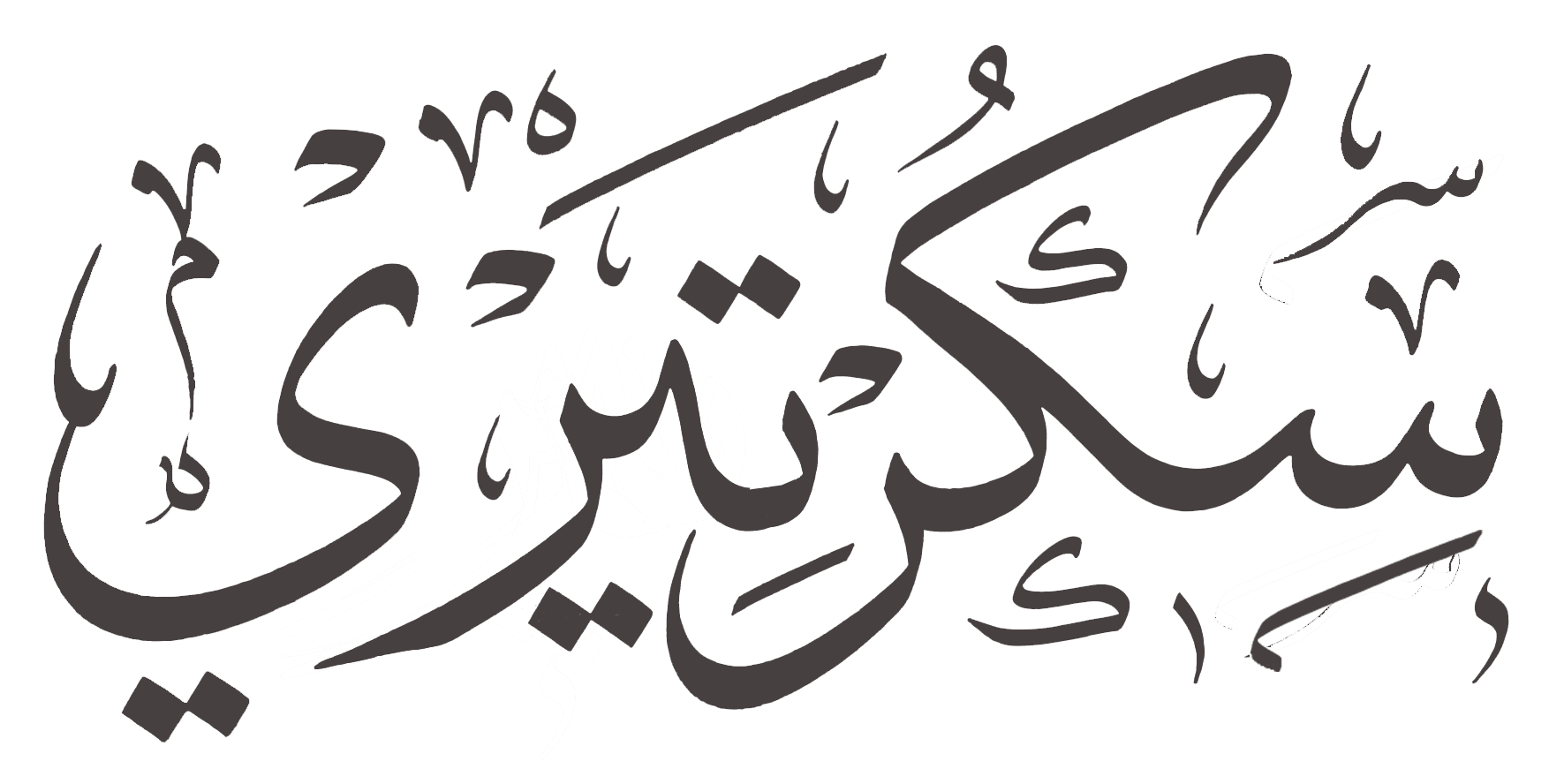 سكرتيري